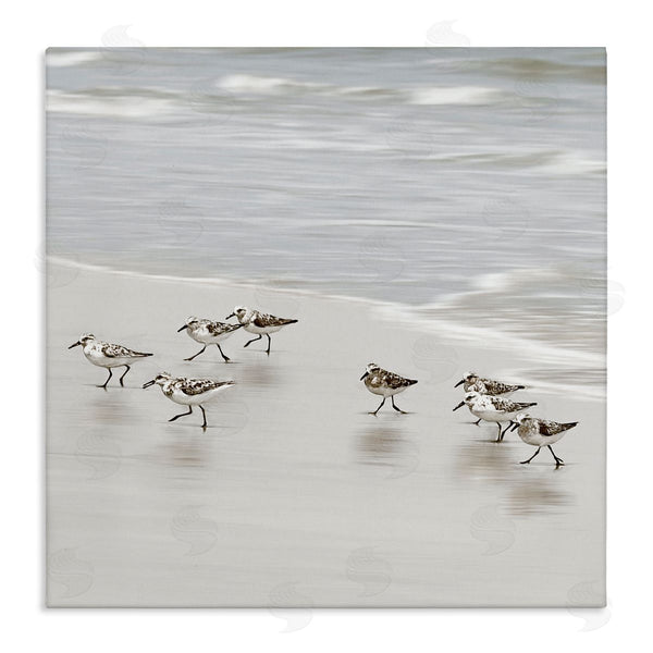 stupell industries Natalie Carpentieri | Beach Birds Scurrying
