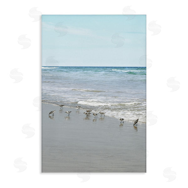 stupell industries Natalie Carpentieri | Energetic Beach Birds Wall Art