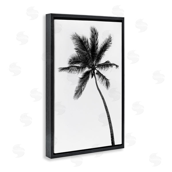 Stupell Industries Natalie Carpentieri | Minimal Island Palm