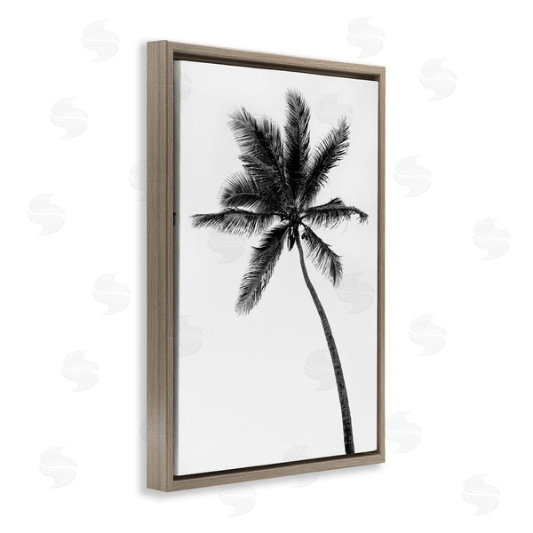 Stupell Industries Natalie Carpentieri | Minimal Island Palm