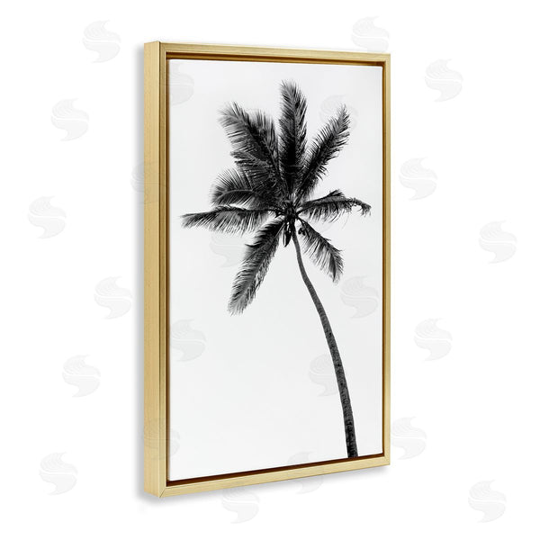Stupell Industries Natalie Carpentieri | Minimal Island Palm