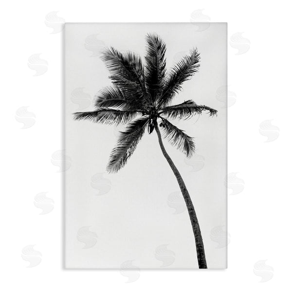 stupell industries Natalie Carpentieri | Minimal Island Palm