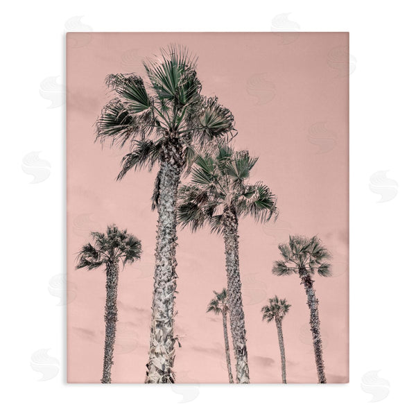 stupell industries Natalie Carpentieri | Palm Up Pink Sky