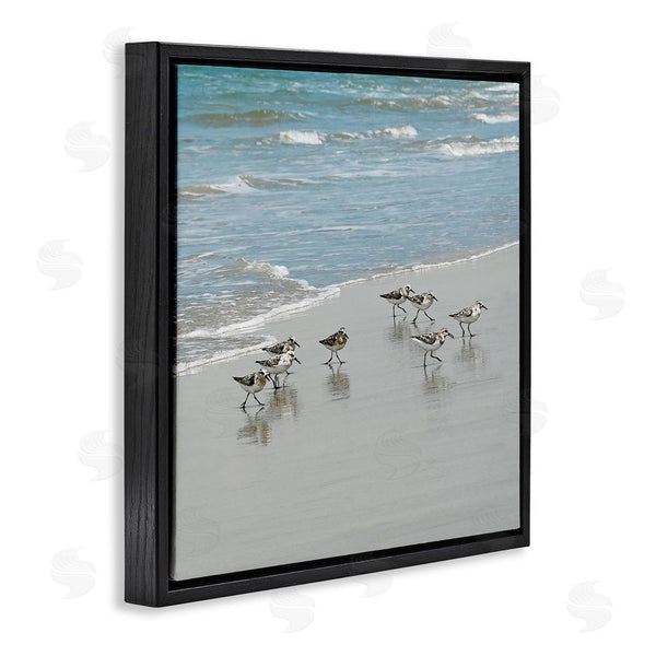 Stupell Industries Natalie Carpentieri | Sandpipers Flock Sandy Beach Shore Wall Art