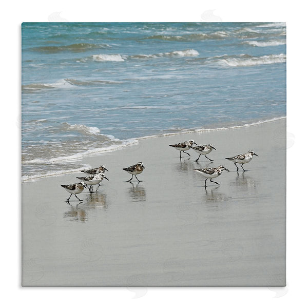 stupell industries Natalie Carpentieri | Sandpipers Flock Sandy Beach Shore Wall Art