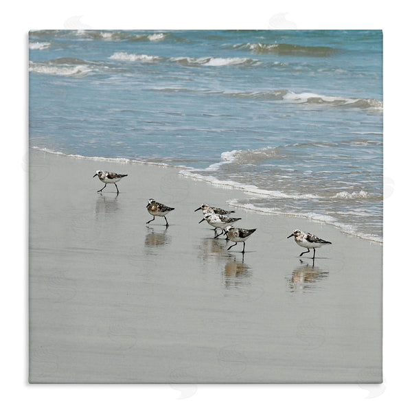 stupell industries Natalie Carpentieri | Sandpipers on Shore Reflection