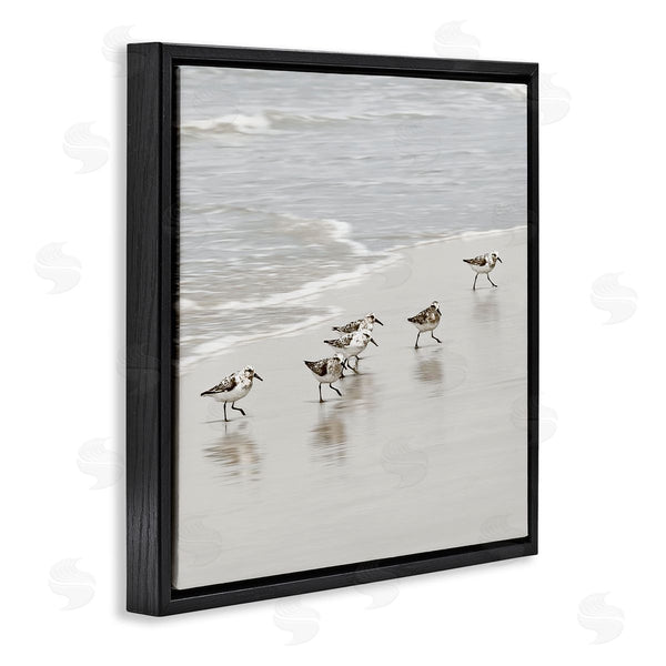 Stupell Industries Natalie Carpentieri | Scurrying Sandpiper Birds