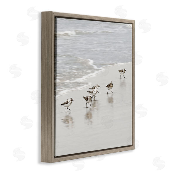 Stupell Industries Natalie Carpentieri | Scurrying Sandpiper Birds