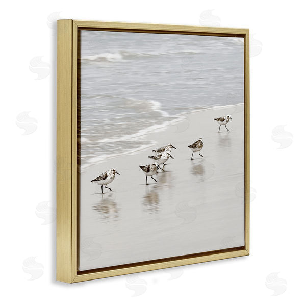 Stupell Industries Natalie Carpentieri | Scurrying Sandpiper Birds