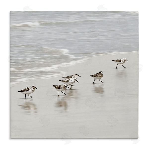 stupell industries Natalie Carpentieri | Scurrying Sandpiper Birds