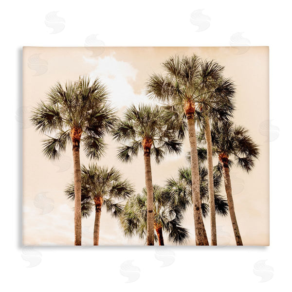 stupell industries Natalie Carpentieri | Summer Palm Trees Sky Wall Art