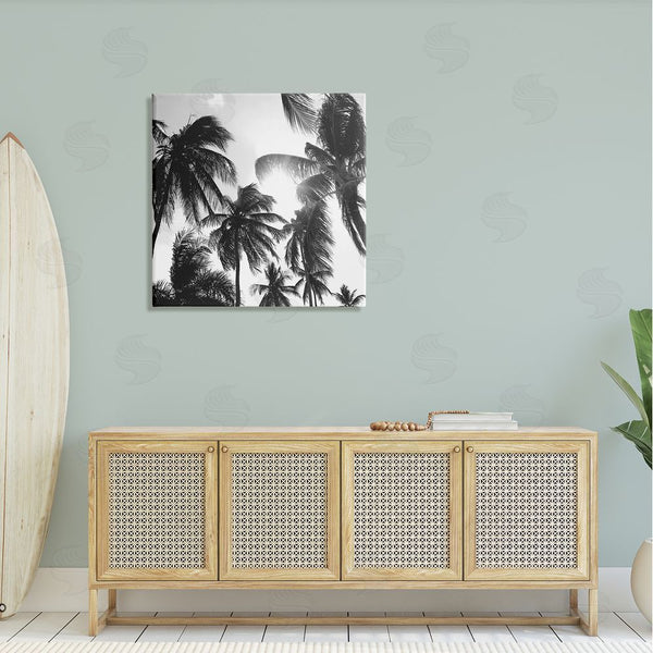 Stupell Industries Natalie Carpentieri | Sunlit Palm Tree Photography Wall Art