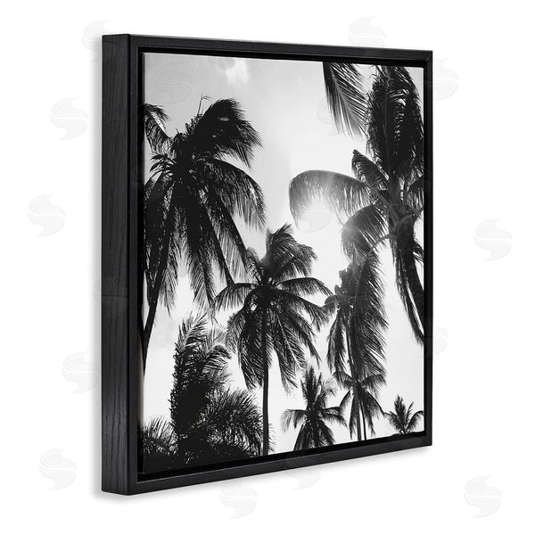 Stupell Industries Natalie Carpentieri | Sunlit Palm Tree Photography Wall Art