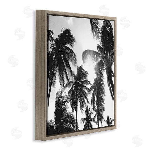 Stupell Industries Natalie Carpentieri | Sunlit Palm Tree Photography Wall Art