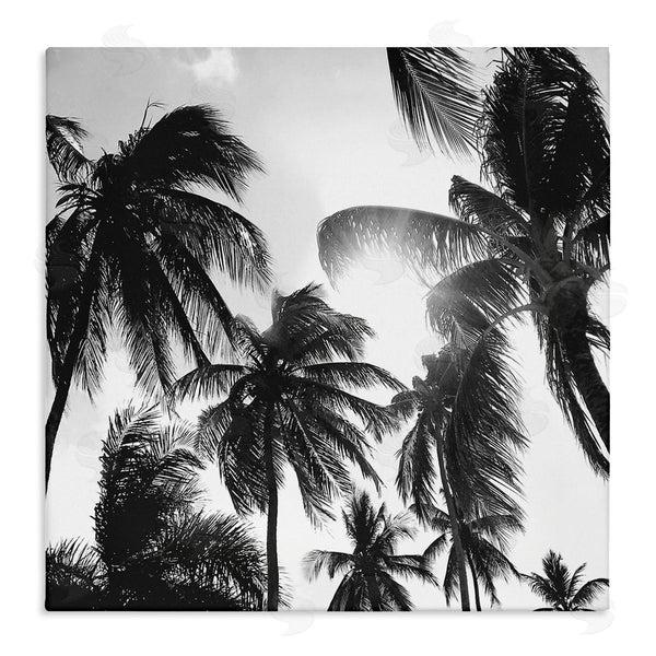 stupell industries Natalie Carpentieri | Sunlit Palm Tree Photography Wall Art