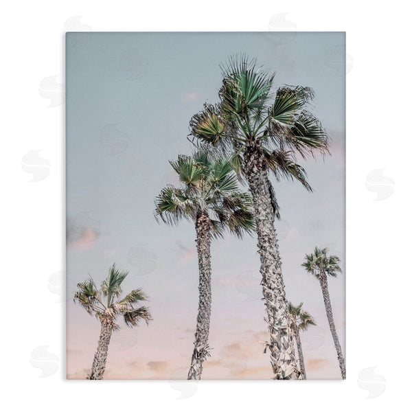 stupell industries Natalie Carpentieri | Tall Tropical Palm Trees Clear Sunset Sky Wall Art