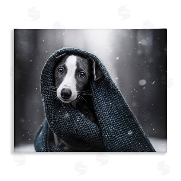 stupell industries Natalie Grosse | Dog with Winter Scarf Wall Art