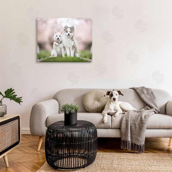 Stupell Industries Natalie Grosse | Husky Puppies In Meadow Wall Art