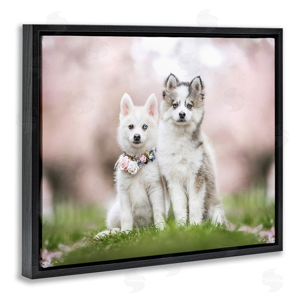 Stupell Industries Natalie Grosse | Husky Puppies In Meadow Wall Art