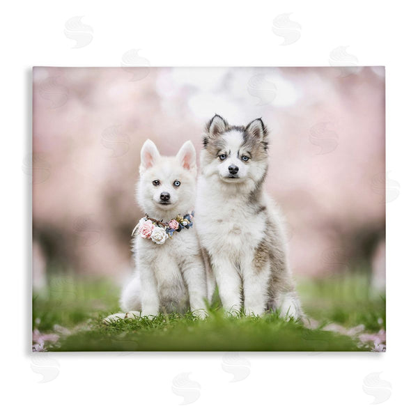stupell industries Natalie Grosse | Husky Puppies in Meadow Wall Art