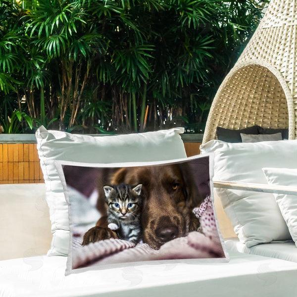 Stupell Industries Natalie Grosse | Kitten & Dog Friendship