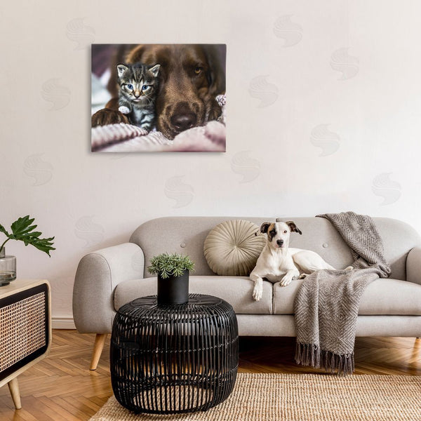 Stupell Industries Natalie Grosse | Kitten & Dog Snuggling Wall Art