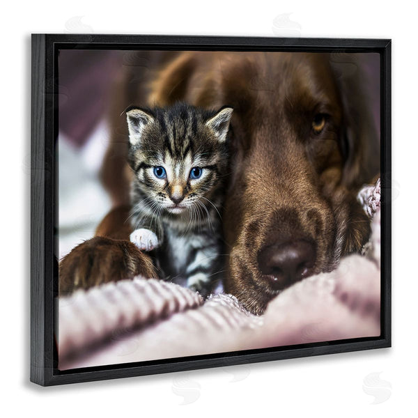 Stupell Industries Natalie Grosse | Kitten & Dog Snuggling Wall Art