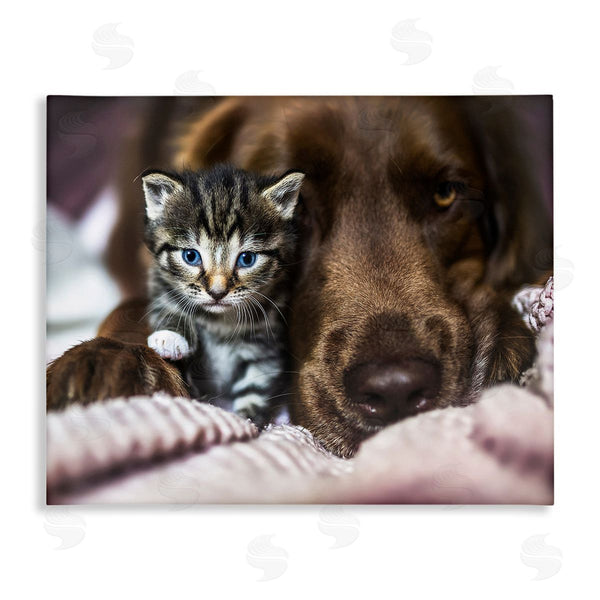 stupell industries Natalie Grosse | Kitten & Dog Snuggling Wall Art