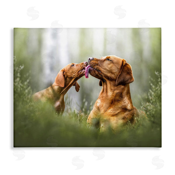 stupell industries Natalie Grosse | Playing Puppies in Grass Wall Art