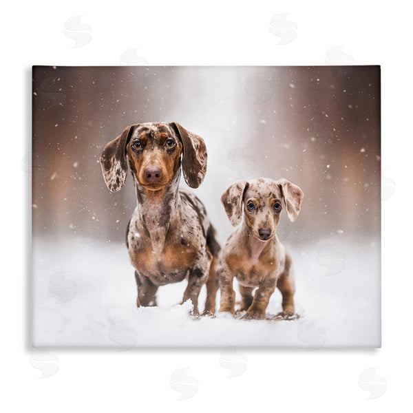 stupell industries Natalie Grosse | Playing Puppies in Snow Wall Art