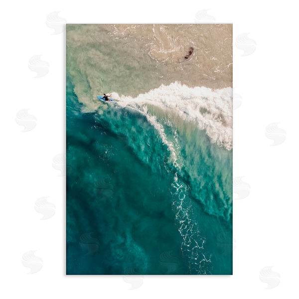 stupell industries Nataly White | Surfing Clear Waters Wall Art