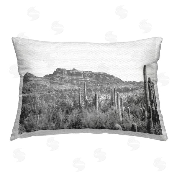 Stupell Industries Nathan Larson | American Borderlands Desertscape
