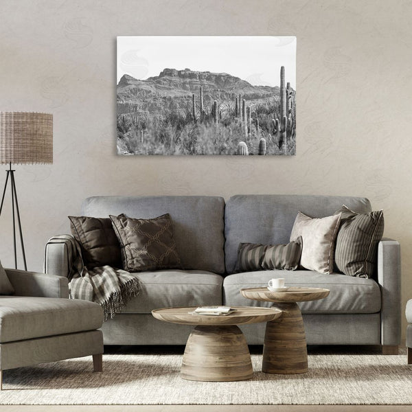 Stupell Industries Nathan Larson | American Borderlands Desertscape Wall Art