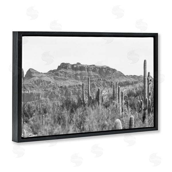 Stupell Industries Nathan Larson | American Borderlands Desertscape Wall Art