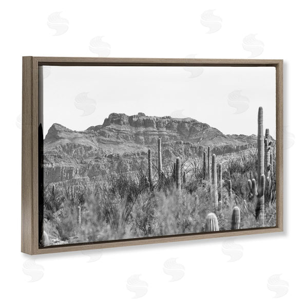 Stupell Industries Nathan Larson | American Borderlands Desertscape Wall Art