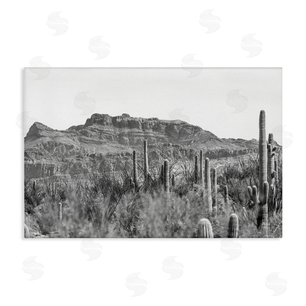 stupell industries Nathan Larson | American Borderlands Desertscape Wall Art