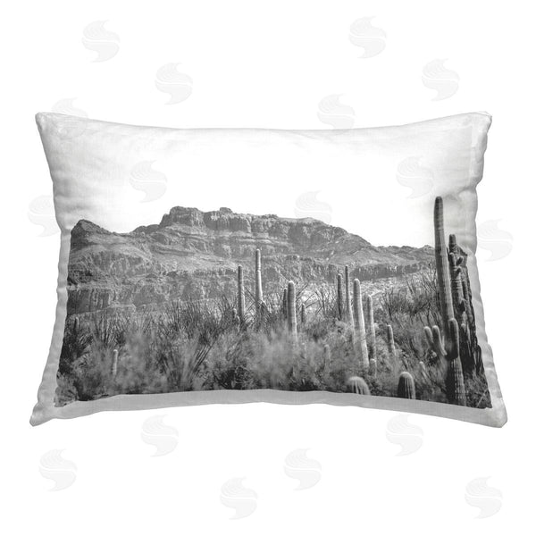 stupell industries Nathan Larson | American Borderlands Desertscape