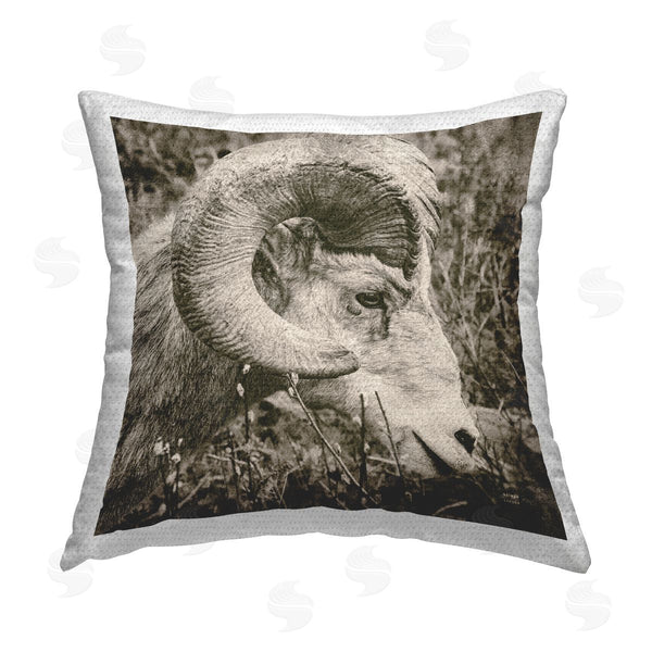 Stupell Industries Nathan Larson | Big Horned Goat Wildlife Printed Throw Pillow
