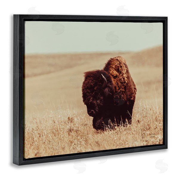 Stupell Industries Nathan Larson | Bison Grazing Tall Grass
