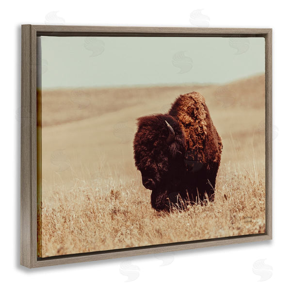 Stupell Industries Nathan Larson | Bison Grazing Tall Grass