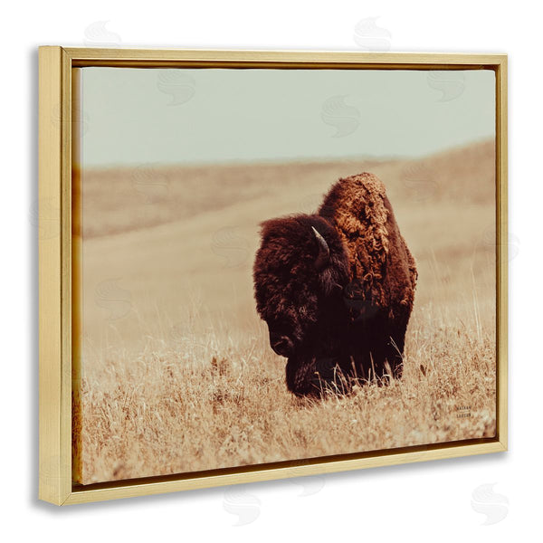 Stupell Industries Nathan Larson | Bison Grazing Tall Grass