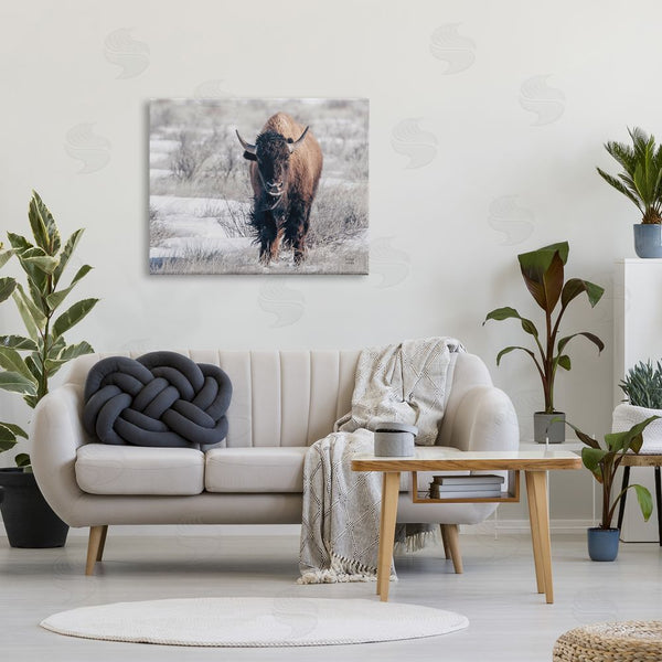 Stupell Industries Nathan Larson | Bison In Rural Snow Scene Wall Art