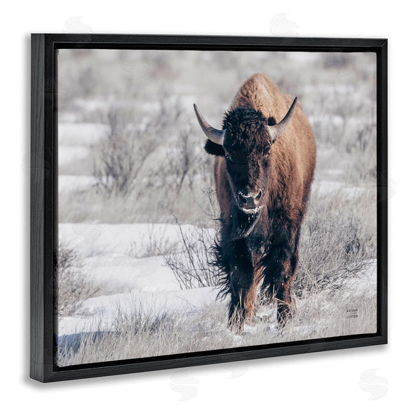 Stupell Industries Nathan Larson | Bison In Rural Snow Scene Wall Art