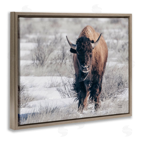 Stupell Industries Nathan Larson | Bison In Rural Snow Scene Wall Art