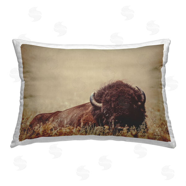 stupell industries Nathan Larson | Bison Laying in Field