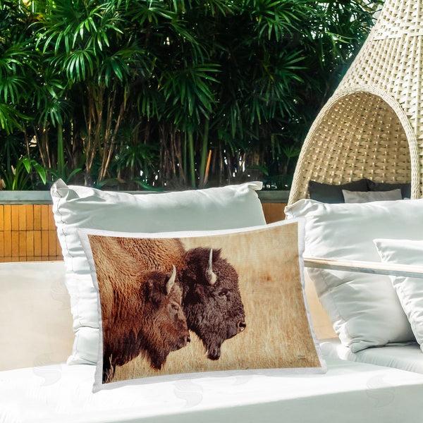 Stupell Industries Nathan Larson | Bison Pair In Countryside