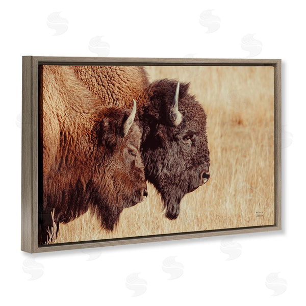 Stupell Industries Nathan Larson | Bison Pair In Countryside Wall Art