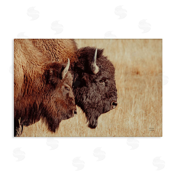stupell industries Nathan Larson | Bison Pair in Countryside Wall Art