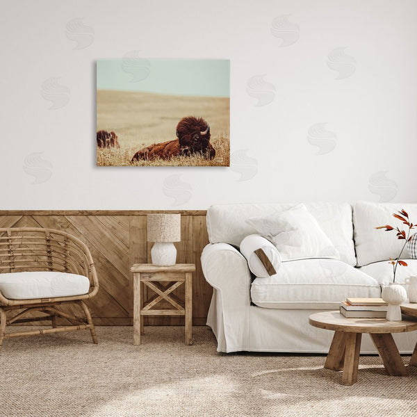 Stupell Industries Nathan Larson | Bison Relaxing In Field Wall Art