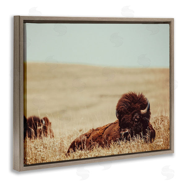 Stupell Industries Nathan Larson | Bison Relaxing In Field Wall Art